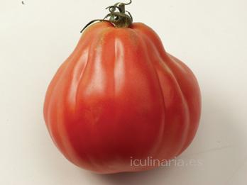 Tomate corazón de buey | Innova Culinaria